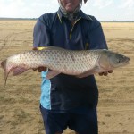IMG-20160419-WA0001